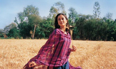 http://www.planetbollywood.com/Pictures/Posters/Swades/swades7P.jpg